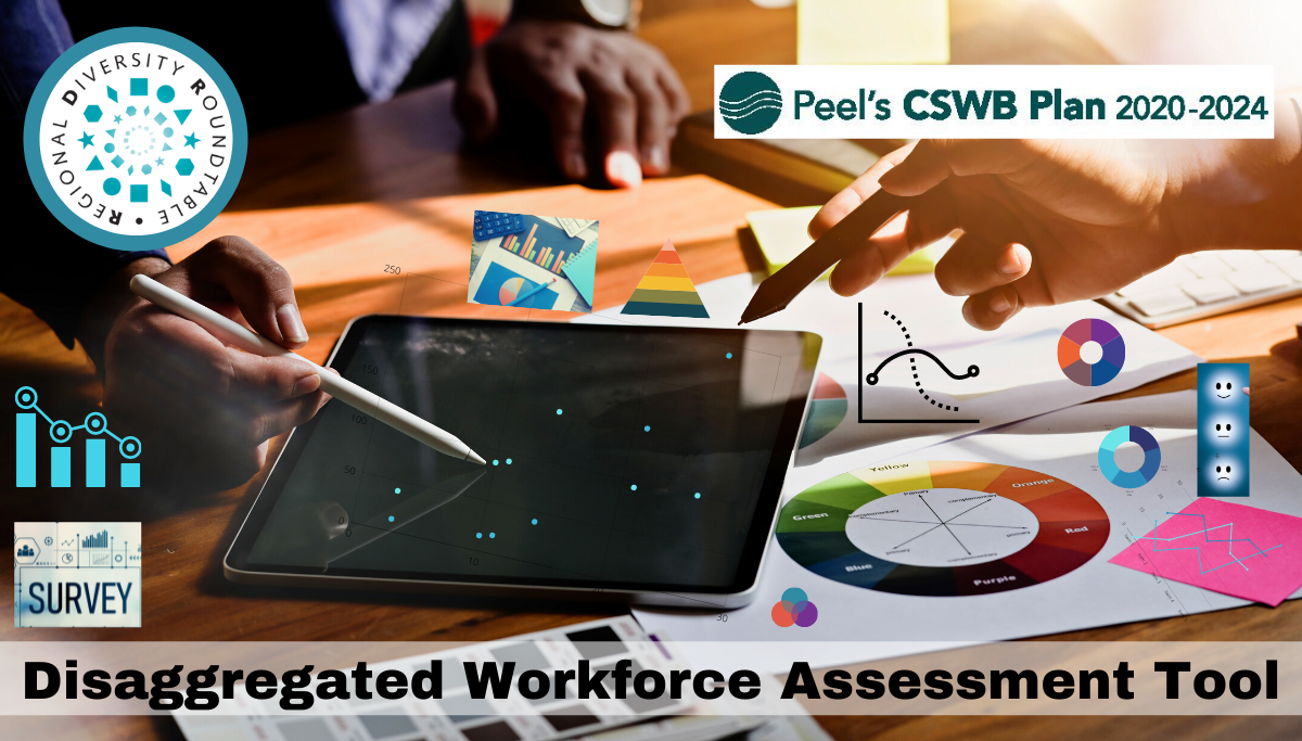 Disaggregated Workforce Assessment Tool - The Regional Diversity ...
